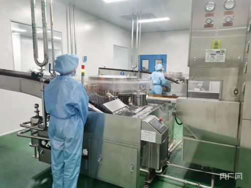 金银花开致富路，科技赋能新篇章——探访南阳金银花种植基地与河南中医药文化魅力