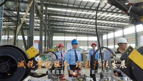 税力量 驱动药品生产技术开发，助力复产促发展