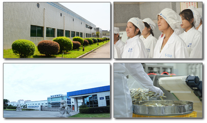 湖南迪博制药 以创新科技驱动药品生产技术开发，为健康事业注入新动力