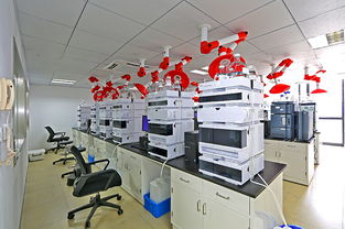 罗欣上海创新药物与首仿药物生产研发技术改造获专项认定，助推产业转型升级