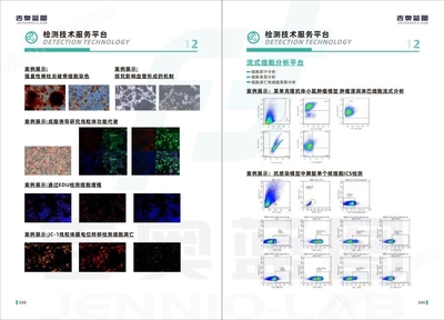 sNF96.2人雪旺细胞药品生产技术开发